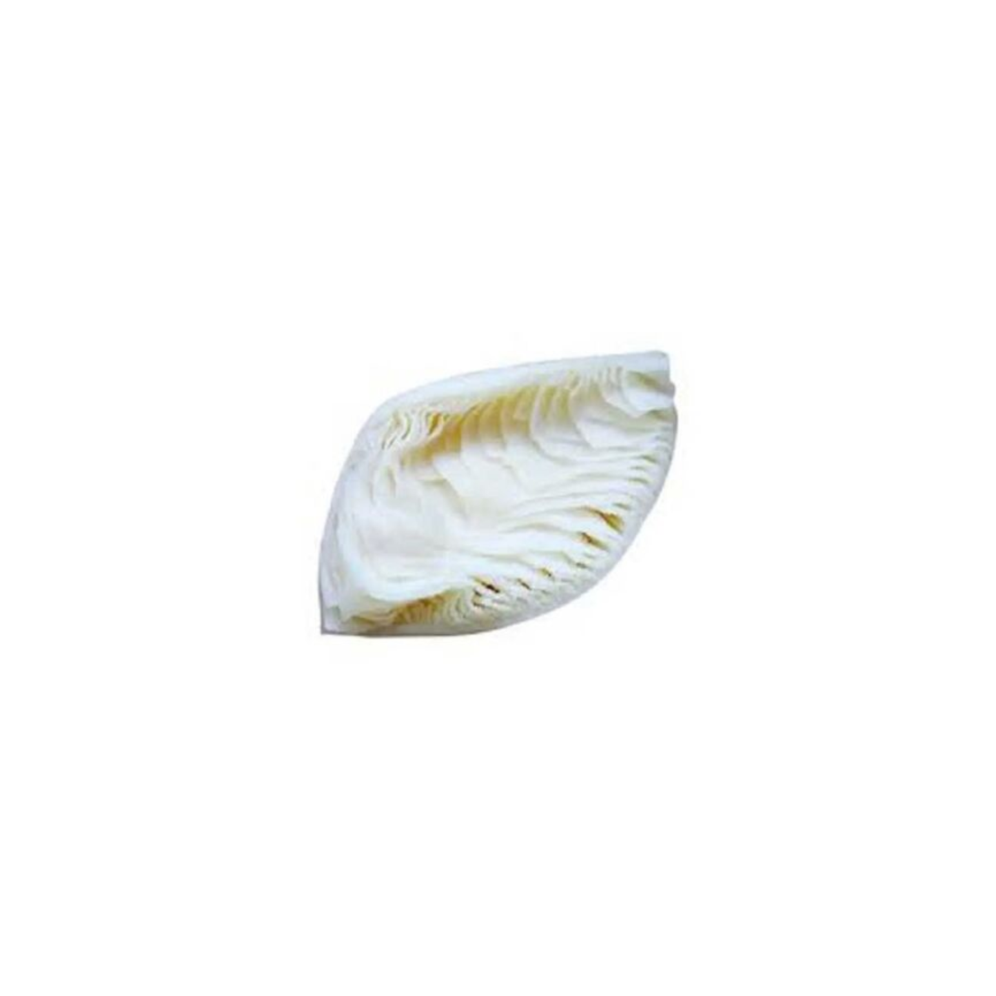 Beef Tripe Omasum