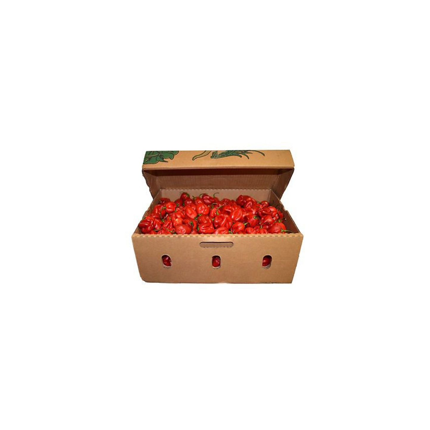 Fresh Red Habanero (Full box ) 8lb