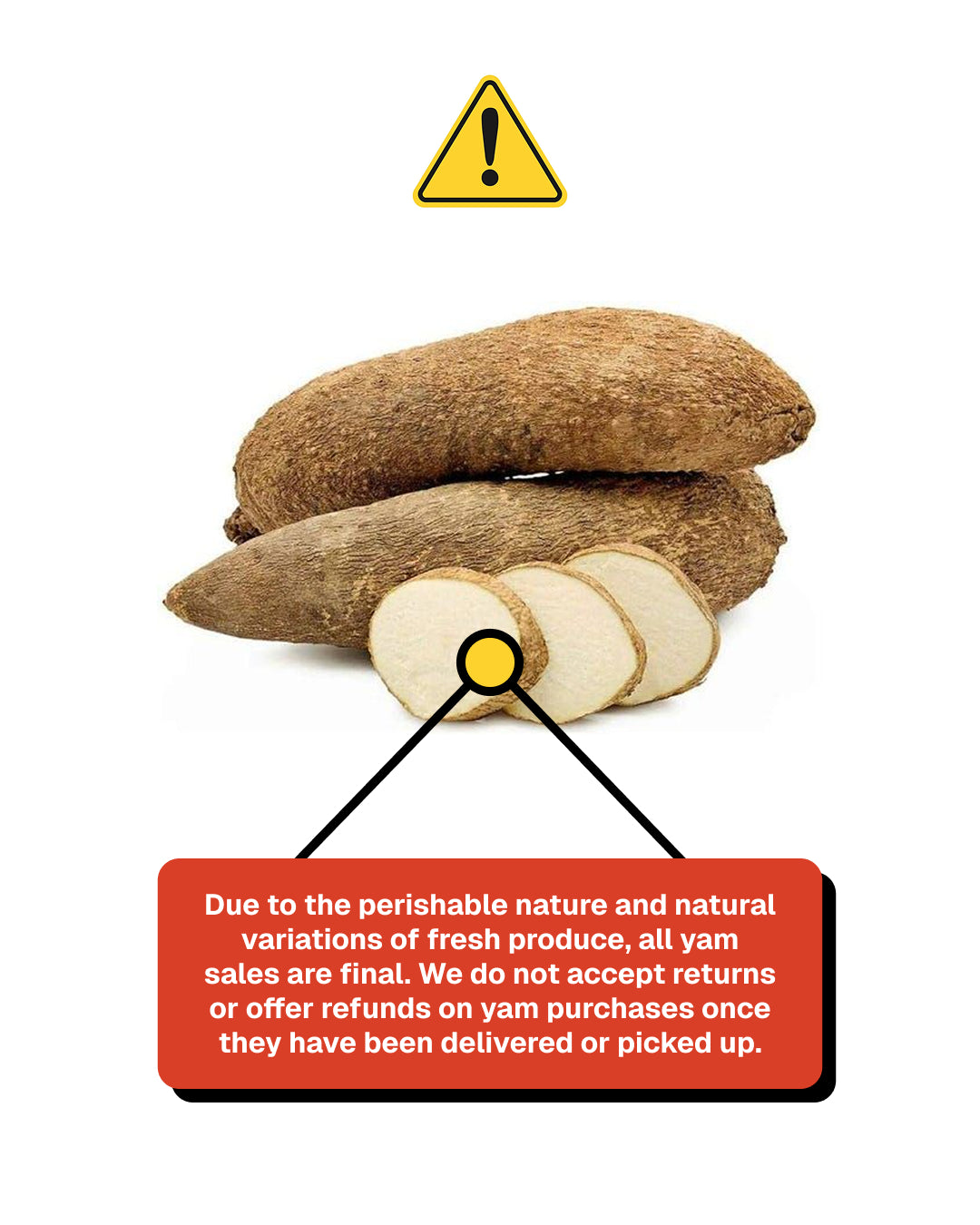 Yam Tuber