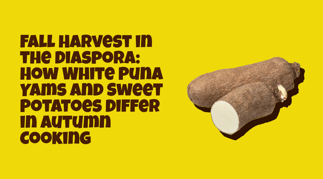 Fall Harvest in the Diaspora: How White Puna Yams and Sweet Potatoes Differ in Autumn Cooking
