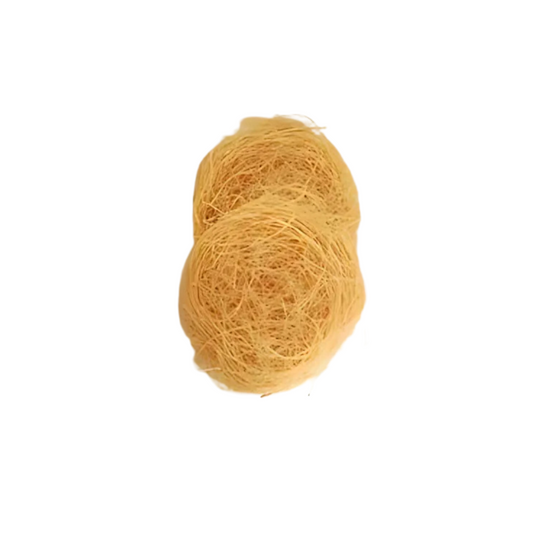 African Wooden Sponge