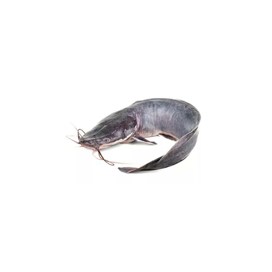 Frozen Catfish (1 piece)