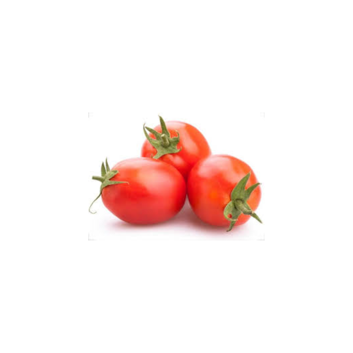 Fresh Roma Tomatoes