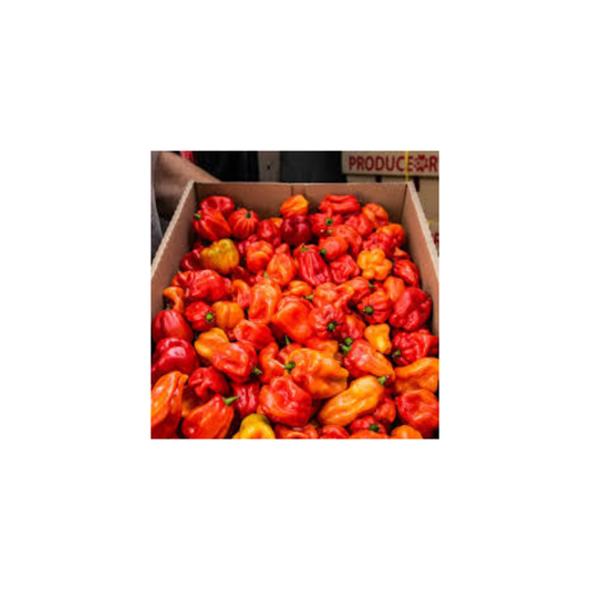 Fresh Scotch bonnet peppers (Full box )