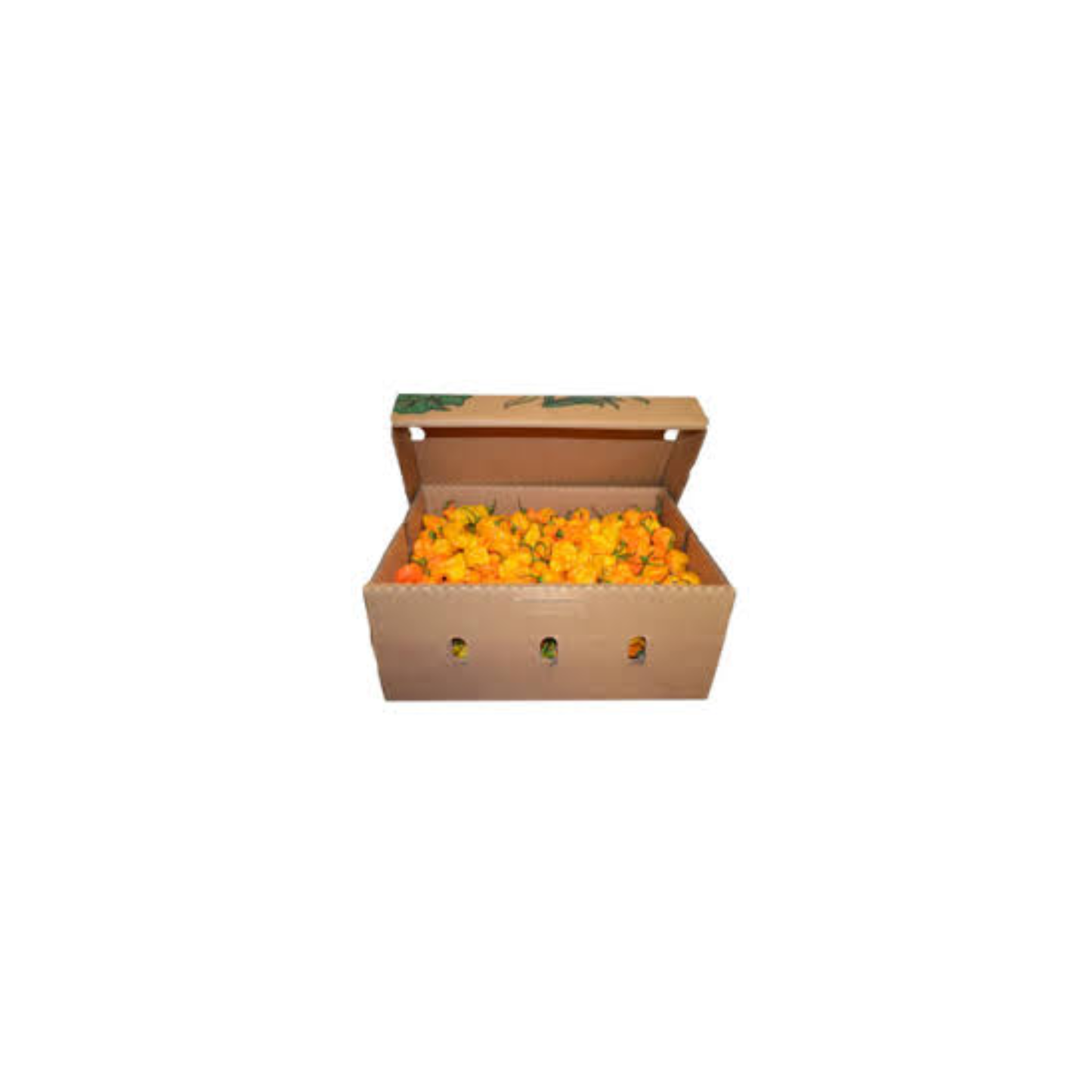 Fresh Orange   Full Box Habanero (8lbs)