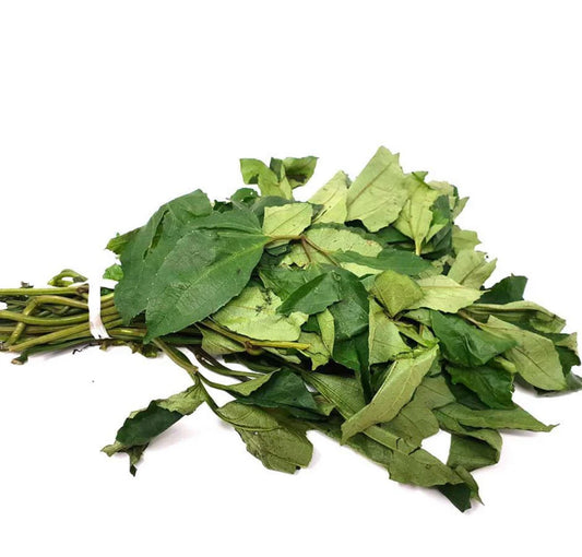 Fresh Ugu Leaves