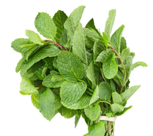 Fresh scent leaves ( Efirin/Nchawun