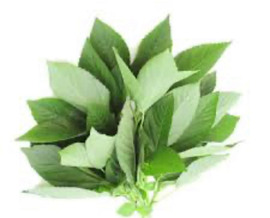 Fresh Ewedu (jute leaves)