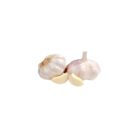 Fresh Garlic