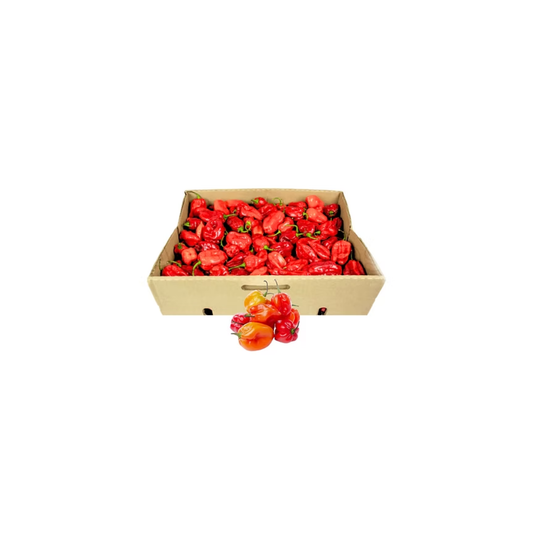Fresh Red Habanero (half box ) 4lb