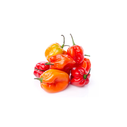 Fresh  Red Habanero (1lbs)