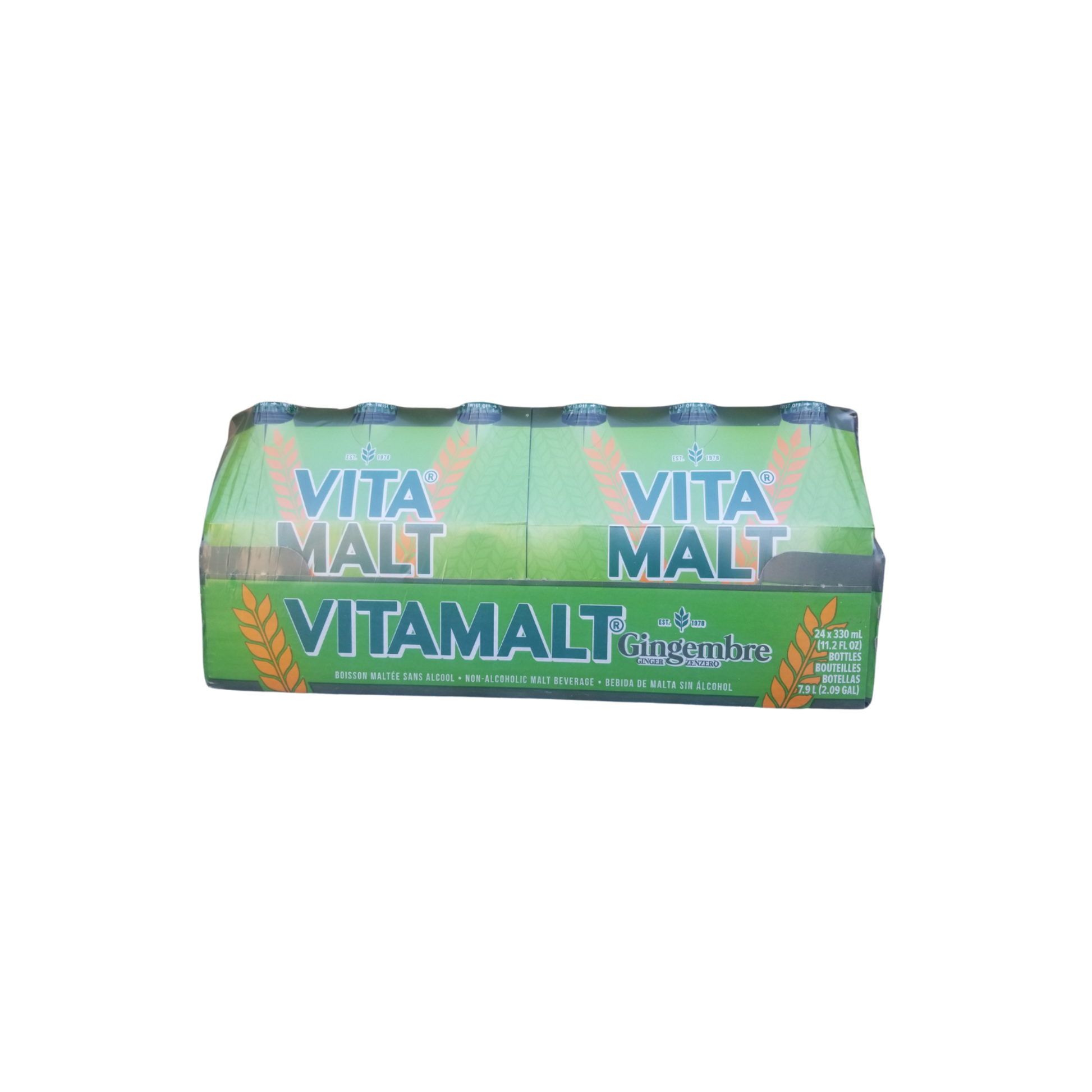 Vita Malt Ginger Malt | Pack of 24