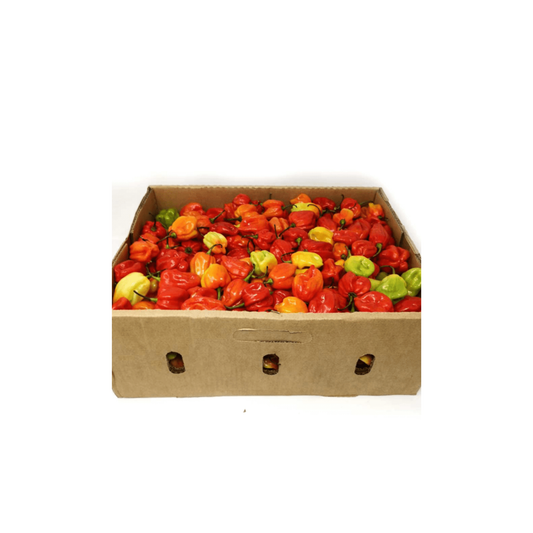 Fresh Scotch bonnet peppers (Half box )