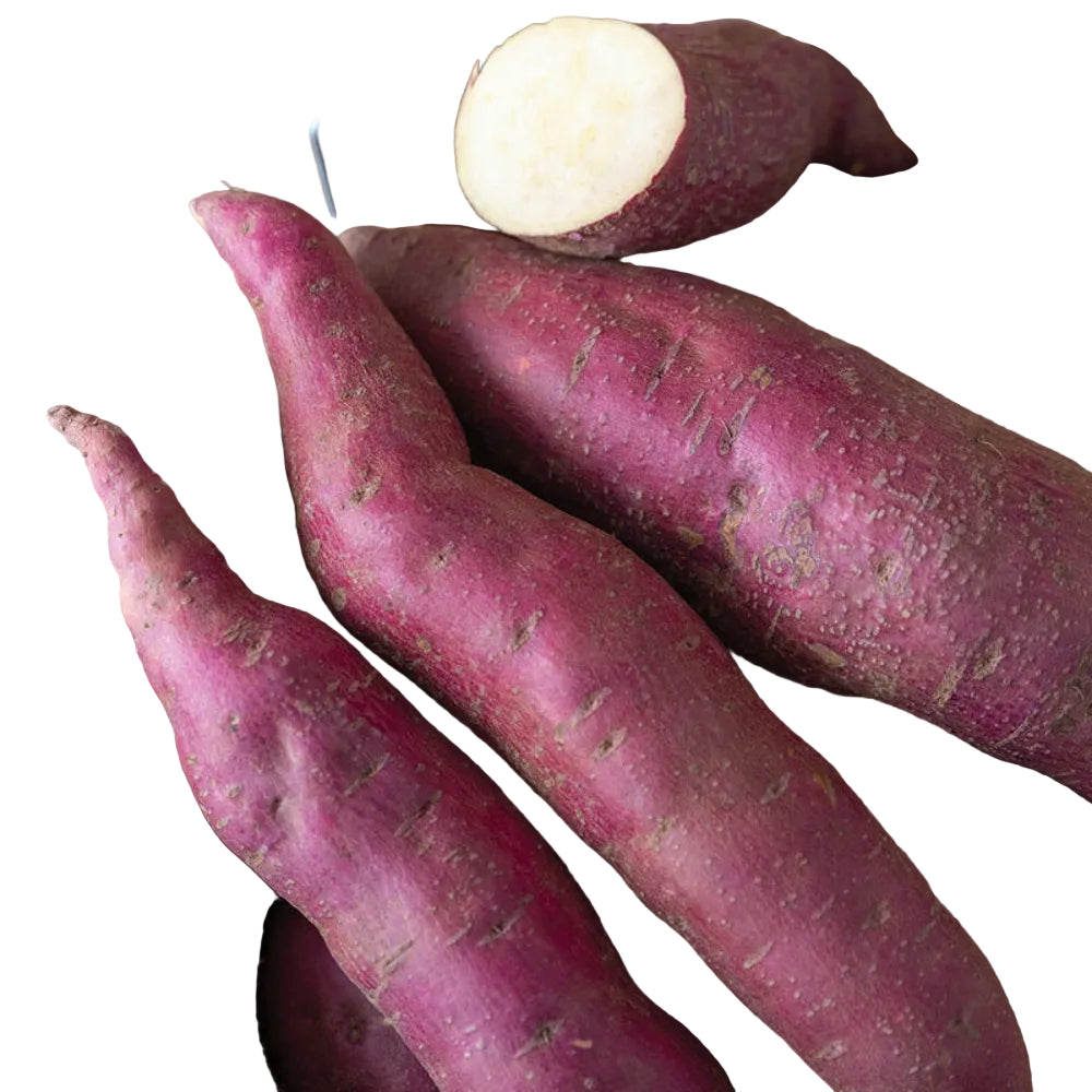 Sweet Japanese Potatoes( Purple)